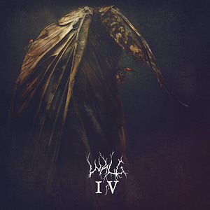 Review: Walg — IV